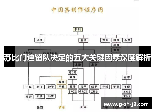 苏比门迪留队决定的五大关键因素深度解析 苏比门迪留队决定的五大关键因素深度解析