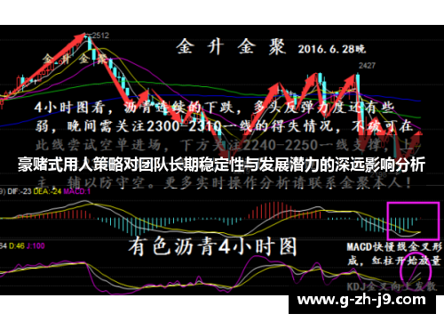 豪赌式用人策略对团队长期稳定性与发展潜力的深远影响分析