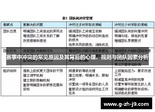 赛事中冲突的常见原因及其背后的心理、规则与团队因素分析