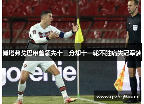 博塔弗戈巴甲曾领先十三分却十一轮不胜痛失冠军梦