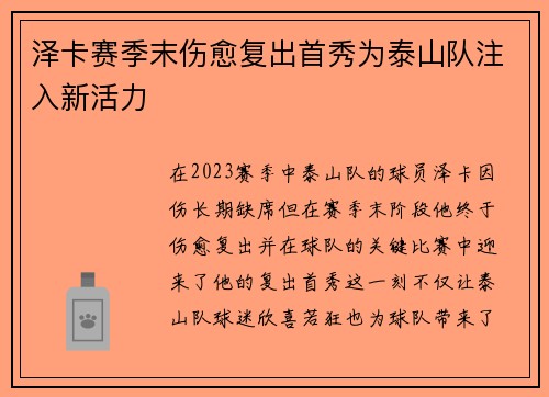 泽卡赛季末伤愈复出首秀为泰山队注入新活力